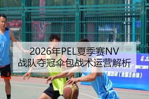 2026年PEL夏季赛NV战队夺冠伞包战术运营解析